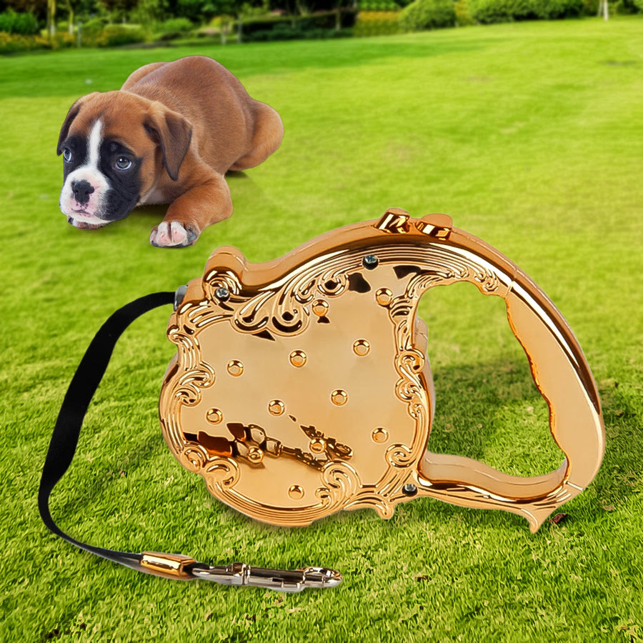 Retractable Dog Leash – 3M Telescopic Pet Lead | Waggy Tales