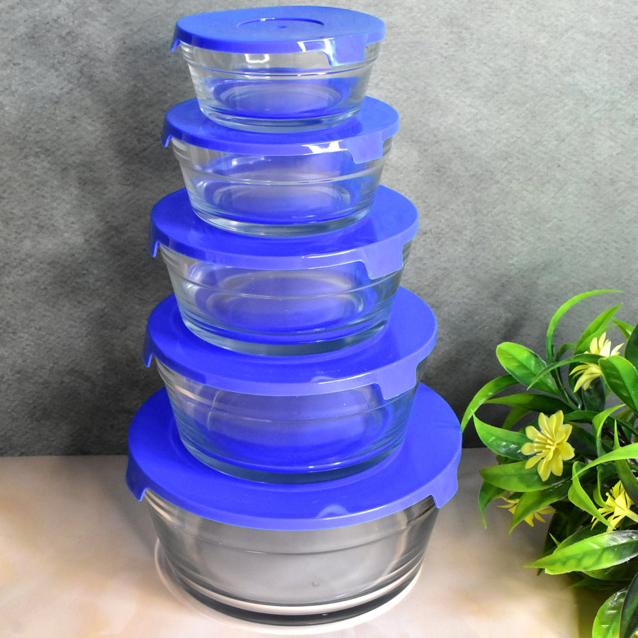 Glass Bowl Set – 5-Piece Modern Storage | Organivo
