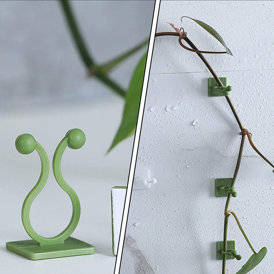 Plant Climbing Clips – Self-Adhesive Wall Support | Grow Vanta