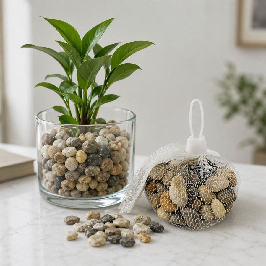 Decorative River Pebbles Ð Versatile Natural Stones for Indoor & Outdoor