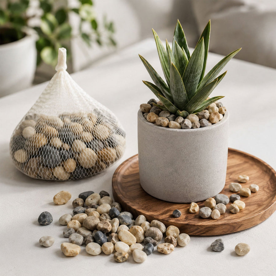 Decorative Natural Pebbles Ð Smooth River Stones for Home & Garden
