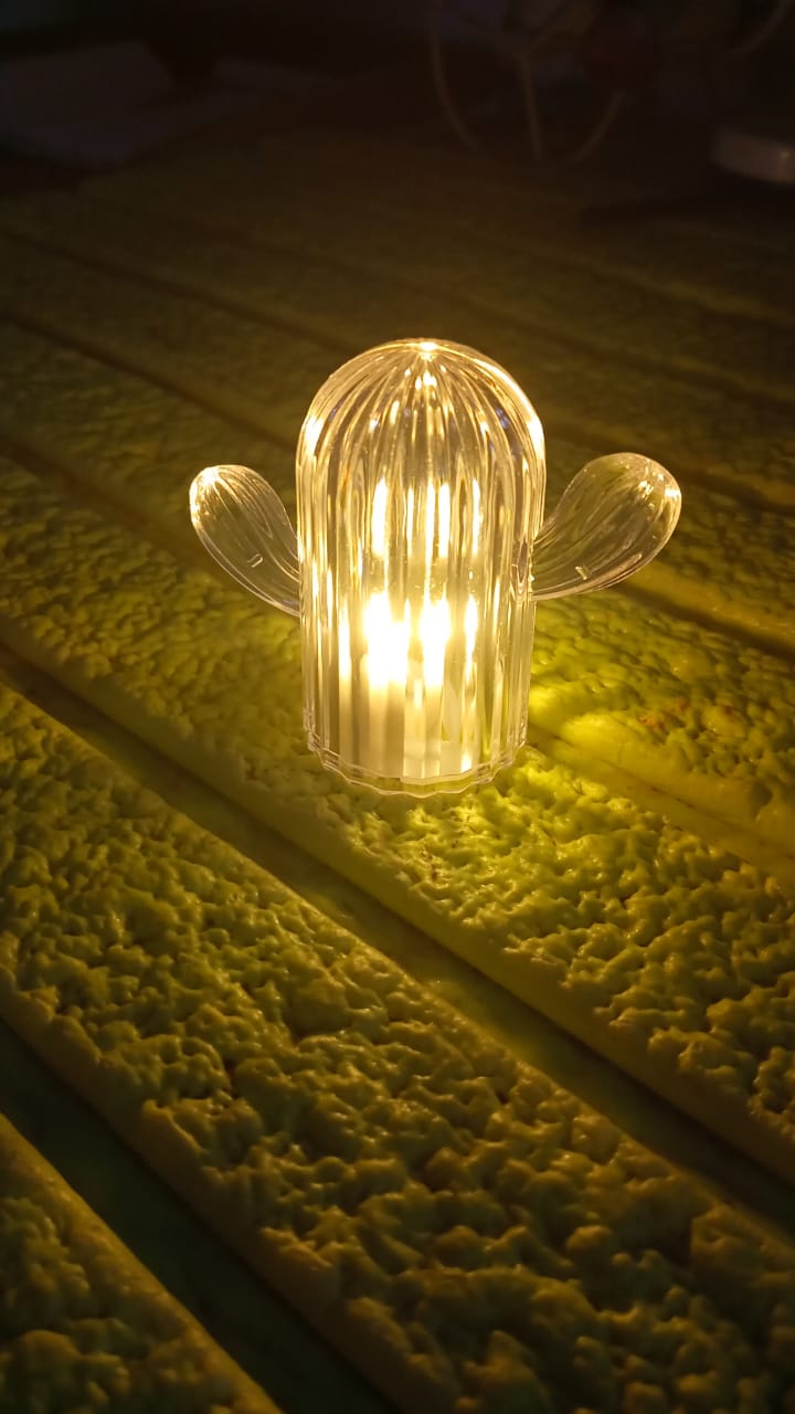 Cactus LED Night Light – Warm Glow, 4 Pcs Set | Indo Glow