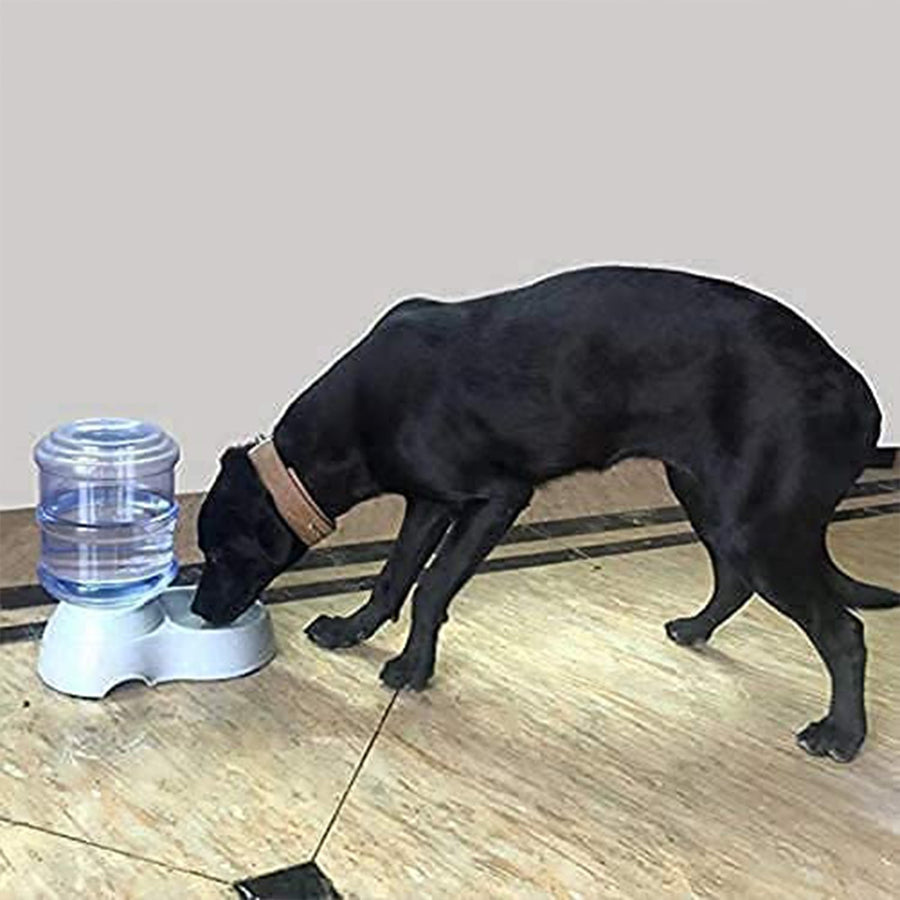 Automatic Pet Water & Food Dispenser – Gravity Self-Feeder | Waggy Tales