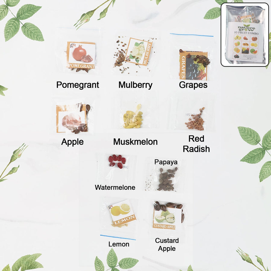 Fruit Seeds Combo Pack – 10 Quality Varieties for Home Gardening