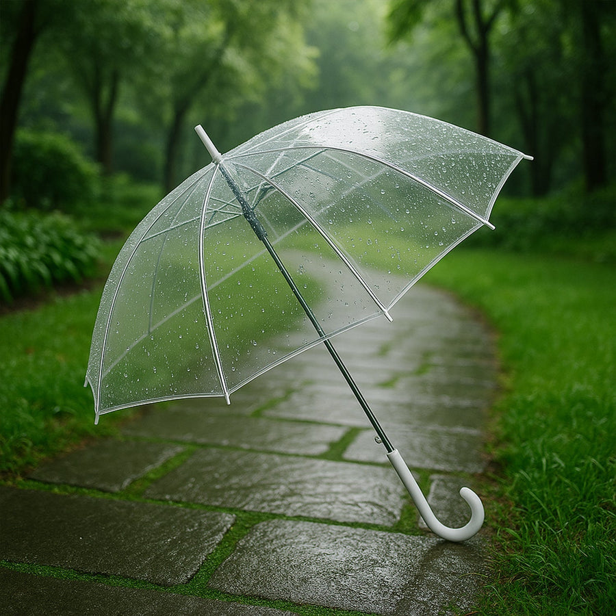 Transparent Dome Umbrella – Windproof with Comfortable Curved Handle